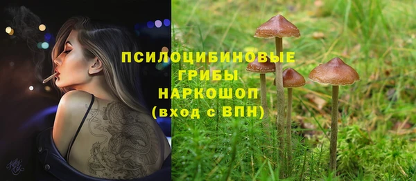 гидра Киренск