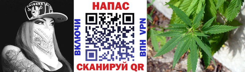 Каннабис планчик Великие Луки